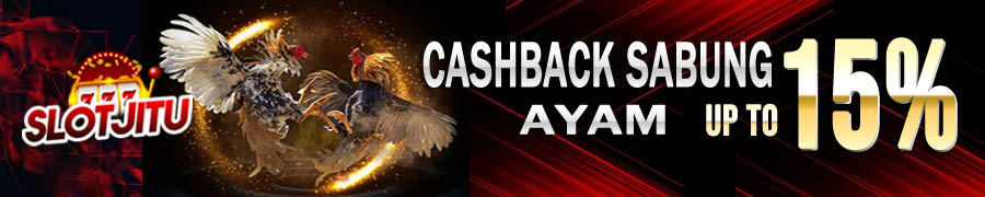 CASHBACK SABUNG AYAM